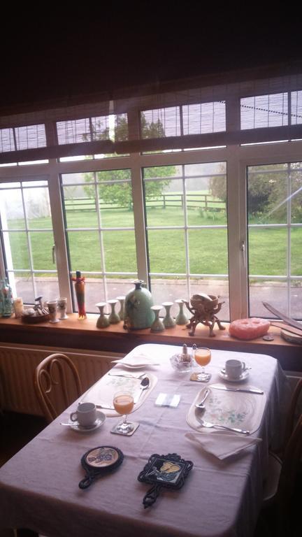 Aurora House Bed And Breakfast Athy Luaran gambar